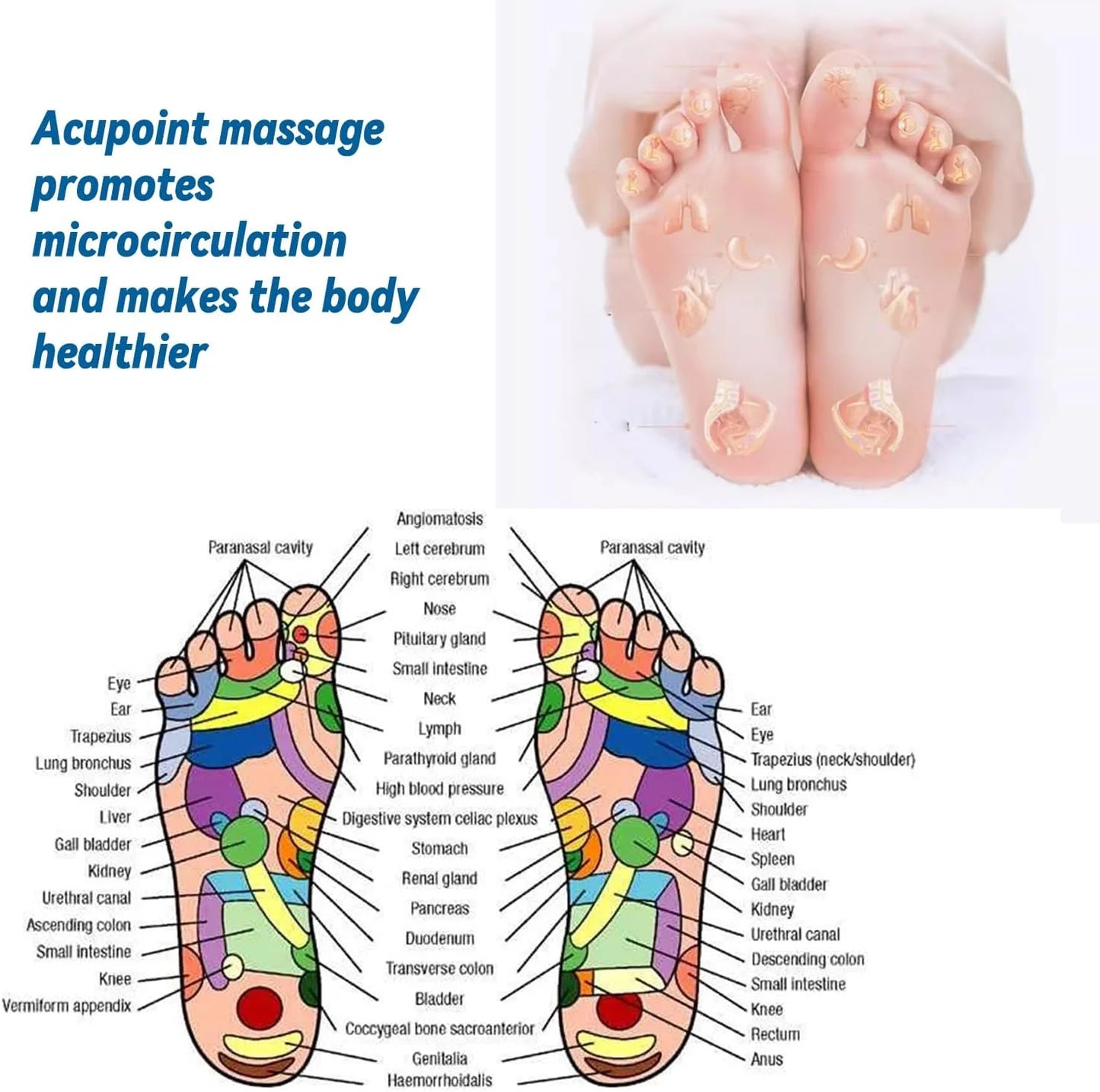 Medical Magnetic Therapy Sports Insoles Massage Foot Weight Loss